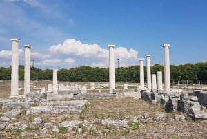 Ancient Macedonia tour (Pella & Vergina) from Skopje