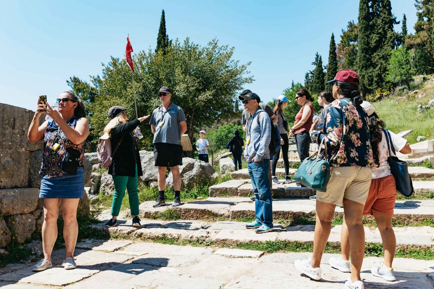 Ateena: Delphi: Päiväretki lisensoidulla opastetulla kierroksella ja nouto