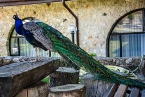 From Ohrid: Full day Boat Trip to the Monastery of St. Naum