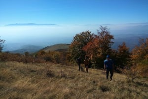 Skopje: Brodec – Spirova Hut – Crn Kamen Hike Tour