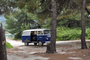 Chalkidiki: Crazy Bus Safari in Kassandra