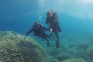 Chalkidiki: Scuba Diving for Beginners in Kassandra