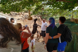 Creta: Excursión Safari Todo Terreno por la Meseta de Lasithi y la Cueva de Zeus