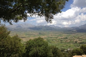 Crete: Monastery, Lasithi Plateau & Dictaean Cave Day Trip