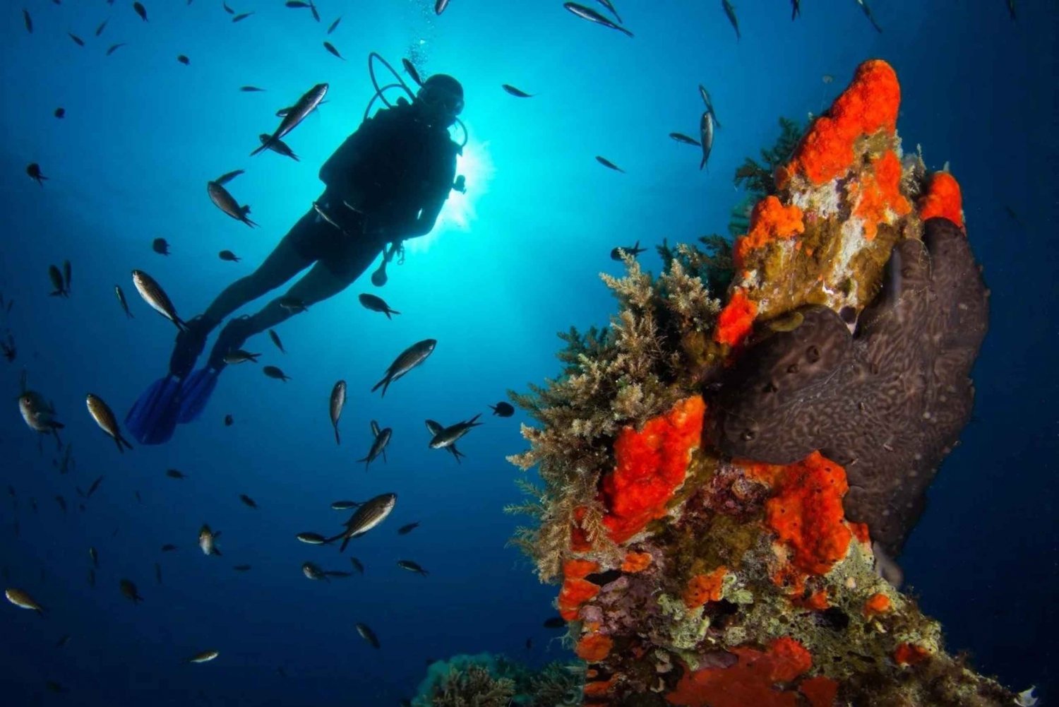 Scuba diving for beginners in crystal clear sea of Halkidiki