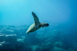 Scuba diving for beginners in crystal clear sea of Halkidiki