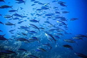 Scuba diving for beginners in crystal clear sea of Halkidiki