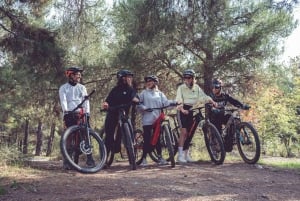 E-Bike Adventure in Thassos Island