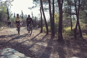 E-Bike Adventure in Thassos Island