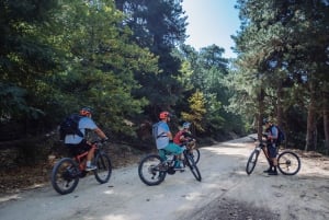 E-Bike Adventure in Thassos Island