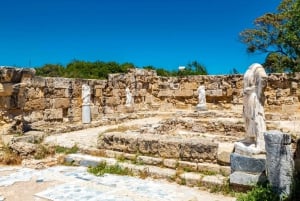 Famagusta & Salamis with a Polish-speaking Guide