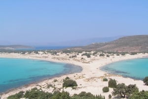From Chania: Day Trip to Elafonisi Island