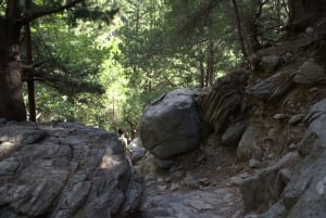 From Chania : Full-Day Samaria Gorge Hike