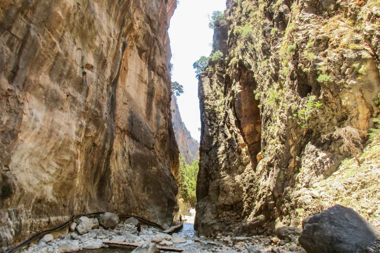 Depuis La Canée : randonnée d'une journée dans les gorges de Samaria