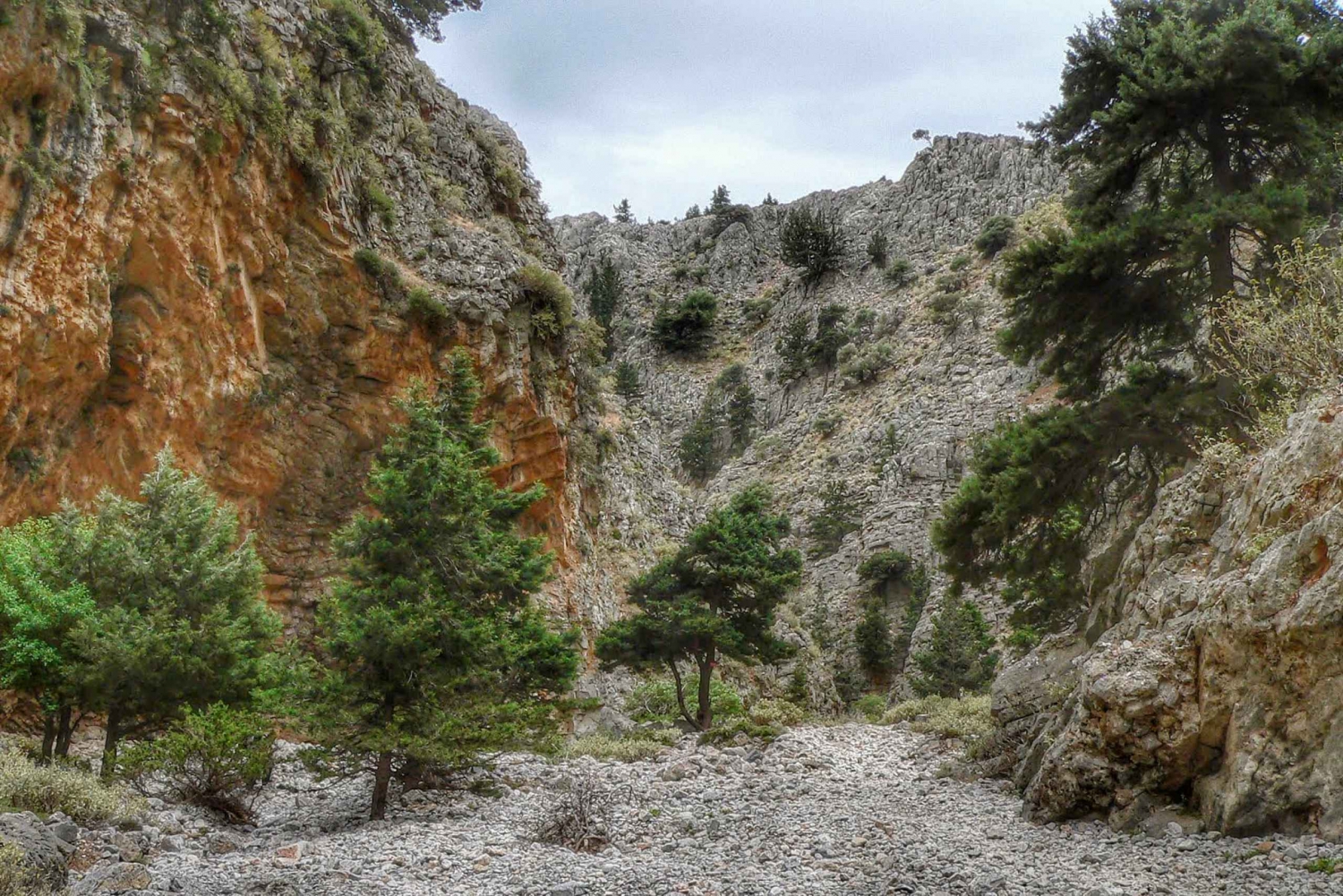 From Chania : Imbros Gorge