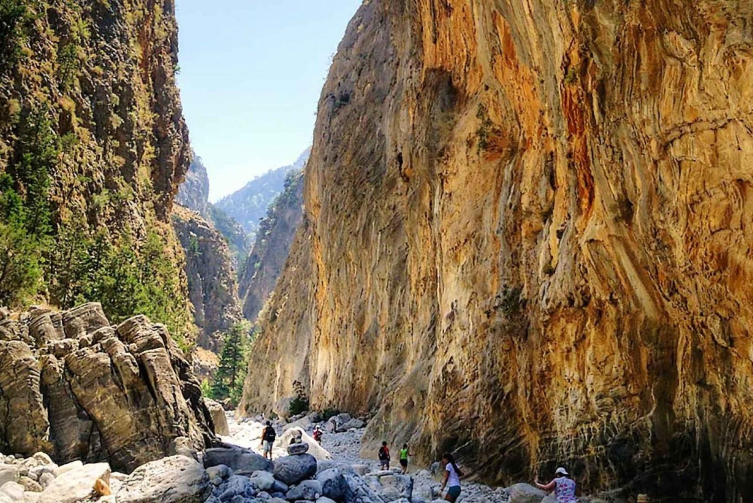 Fra Chania/Rethymno: Guidet vandretur i Samariá-kløften med afhentning