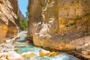 From Chania/Rethymno: Samariá Gorge Guided Hike with Pickup