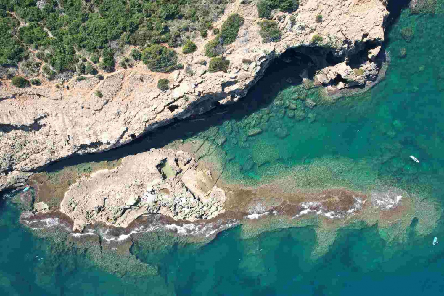 Fra Denia: Bådtur til Tallada-grotten med valgfri svømmetur