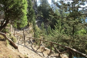 From Heraklion, Agia Pelagia, Malia: Samaria Gorge Day Trip