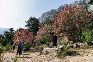 From Heraklion, Agia Pelagia, Malia: Samaria Gorge Day Trip