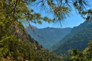 From Heraklion: Samaria Gorge & Agia Roumeli Hiking Day Trip