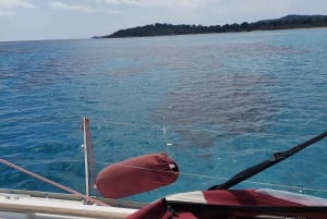 From Kassandra: Halkidiki Half-Day Beach Private Cruise