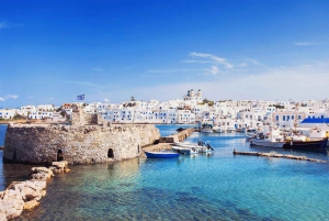 Private full-day boat cruise from Mykonos to Paros island
