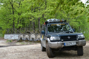 From Sithonia: Private 4x4 Off-Road Safari in Halkidiki