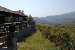 From Skopje: Private Tour of Chateau Sopot Winery with Lunch
