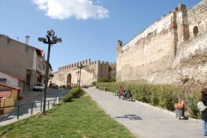 From Thessaloniki: City Tour and Archaelogical Museum