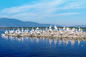 From Thessaloniki: Day Trip to Kerkini Lake