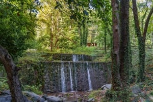 From Thessaloniki: Pozar Baths & Edessa Waterfalls