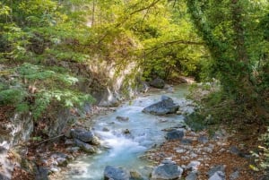 From Thessaloniki: Pozar Baths & Edessa Waterfalls