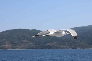 From Thessaloniki: Transportation to Blue Lagoon Day Cruise