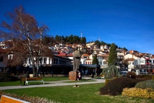 Semi-Private Tour of N. Macedonia: Ohrid &Struga from Tirana