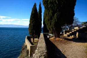 Semi-Private Tour of N. Macedonia: Ohrid &Struga from Tirana