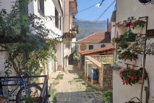 'Lake Ohrid: Monastery, Museum, and City Private Tour'