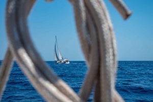 Kassandra: Private Sailing Cruise from Paliouri to Sithonia