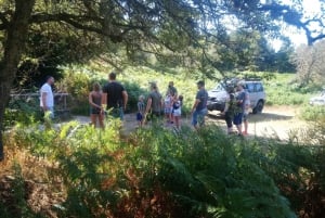 Halkidiki: Kassandra 4x4 Jeep Safari Off-Road Experience