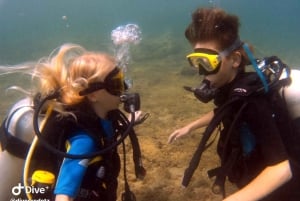 Halkidiki: Kassandra Scuba Beginner Diving Class