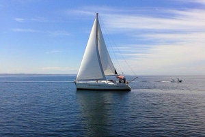 Halkidiki: Private Sailing Boat Cruise with Swim Stops