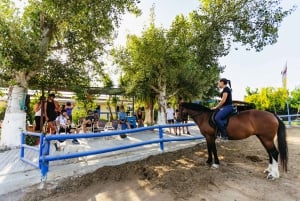 Heraklion: Finikia Horse Riding Day Tour with Lunch