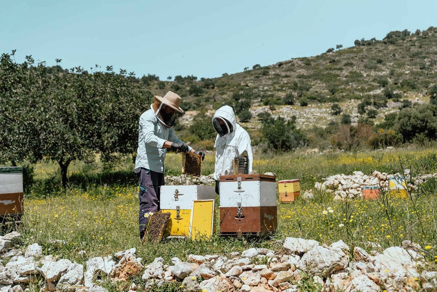 Héraklion : La vraie Crète La grotte de Melidoni, les secrets du miel, l'olivier