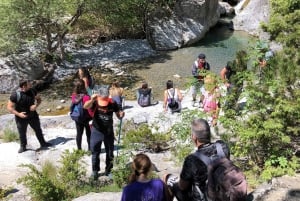 Hiking in Mt Olympus National Park