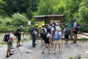 Hiking in Mt Olympus National Park