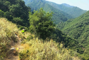 Hiking tour in Souli plateau, Kougi and Skala Tzavelena