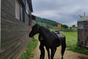 Horse riding in a farm