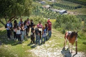 Horse Riding with Lunch in the Mountains near Heraklion