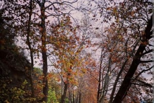 Kastoria: Bike Experience Around The Lake