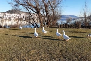 Kastoria: Bike Experience Around The Lake